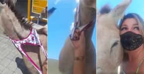 Ativista usa sua própria calcinha para resgatar animal no Ceará