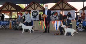 Ribeirão Pires fará Expo de cães neste fim de semana