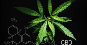 Conheça os três novos produtos de Cannabis liberados pela Anvisa