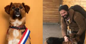 Sucesso nas redes sociais, conheça Brownie: o cachorro do presidente do Chile