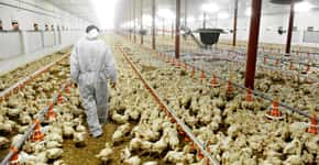 China confirma primeira infecção humana de gripe aviária H3N8