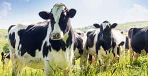 Vírus da gripe bovina detectado pela primeira vez no Brasil