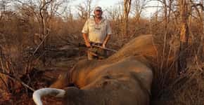 Caçador de leões e elefantes é morto a tiros na África do Sul