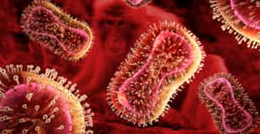 Cientistas alertam para mutações perigosas no vírus monkeypox