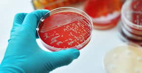 Estudo revela quais são as bactérias que mais matam no mundo