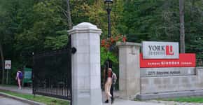 Universidade de York disponibiliza 27 cursos gratuitos