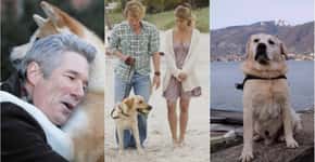 9 filmes e séries para os apaixonados por cães