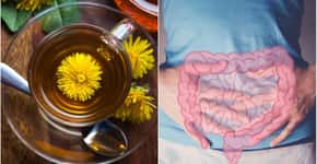 3  remédios caseiros para limpar o intestino e se sentir leve