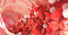 Leguminosa é forte aliada na prevenção de anemia por falta de ferro