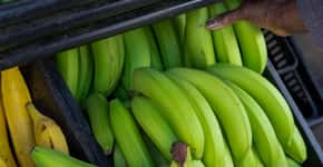 Comer uma banana verde por dia ajuda evitar câncer, diz pesquisa
