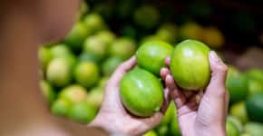 Amigas da balança: 2 frutas ajudam a controlar o peso, afirma estudo