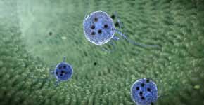 Conheça o vírus que provoca diarreia fatal e que está se espalhando