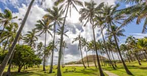 Catraca Livre indica 5 bons motivos para visitar a Ilha de Páscoa em 2024