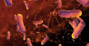 OMS atualiza lista das bactérias que mais ameaçam a nossa saúde