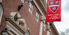 ONG ligada a Harvard abre vagas em curso gratuito para jovens