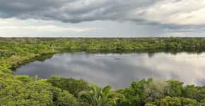 Juma Lodge oferece imersão na selva Amazônica