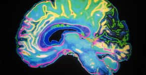 Novo tratamento reverte sinais da doença de Alzheimer