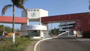 UFMA oferece 29 cursos gratuitos; saiba como se inscrever