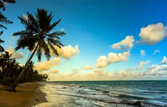 3 praias em Alagoas que você precisa conhecer e nem sabe