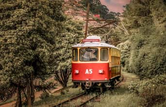 5 parques imperdíveis para explorar em Campos do Jordão