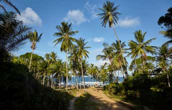 Bahia: 3 lugares baratos para viajar e se encantar