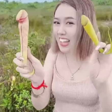 Conheça a ‘planta pênis’ que no Camboja corre risco de desaparecer por causa dos turistas