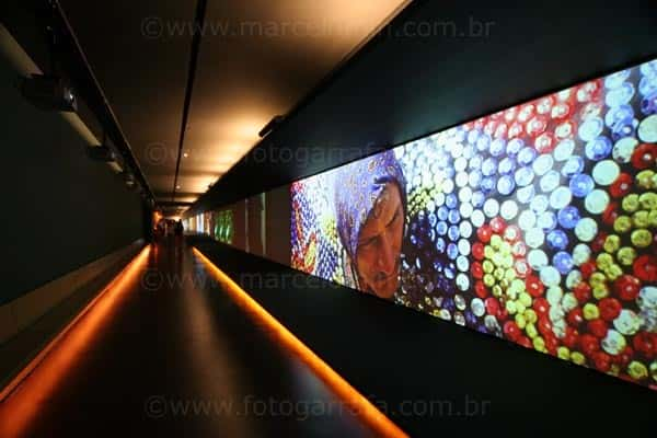 Museu da Língua Portuguesa