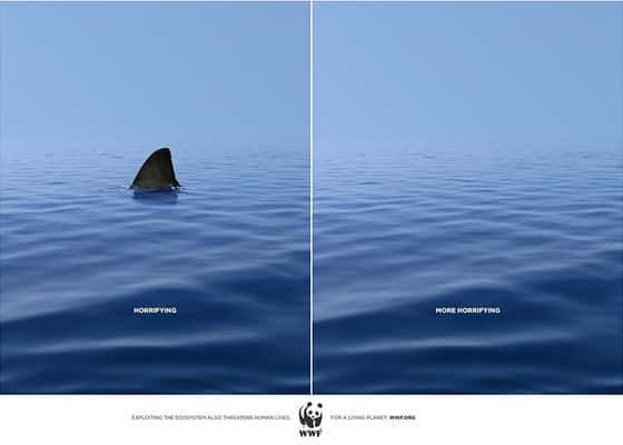 “Aterrorizador” “Mais aterrorizador” WWF, DDB, Turquia.