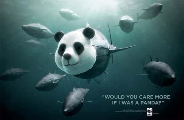 “Você se importaria comigo se eu fosse um panda?” WWF, Ogilvy, França.