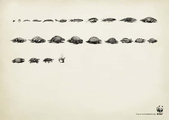 “Evolução” WWF, Ogilvy, China.