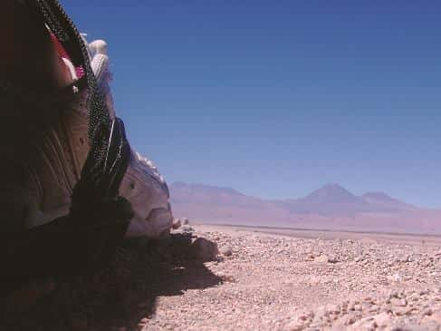 A foto de Dane Bruckman no Deserto do Atacama, faz com que seu pé pareça gigante