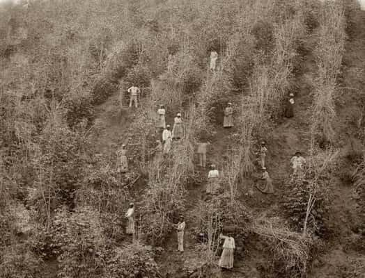 Vale do Paraíba, São Paulo, 1882