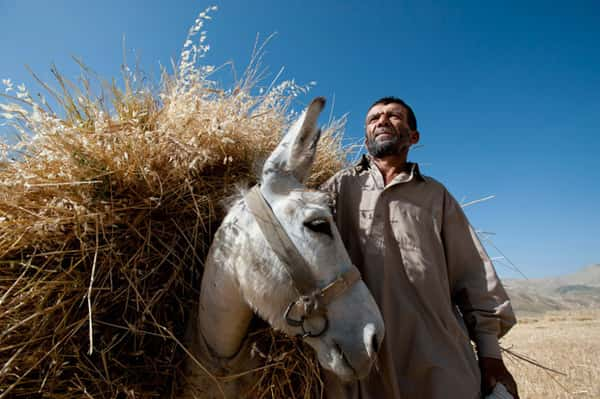 Vale Panjshir, Afeganistão