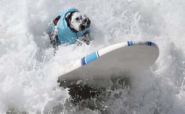 Foto: Lucy Nicholson/Reuters