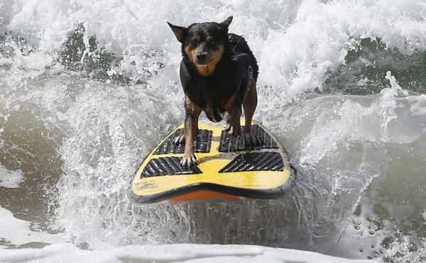 Foto: Lucy Nicholson/Reuters