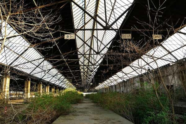 Esta estação de carga não utilizado em Duisburg, na Alemanha, foi palco da morte de 21 pessoas. A área foi deixada intocada como memória da tragédia. [Duisburg, na Alemanha]