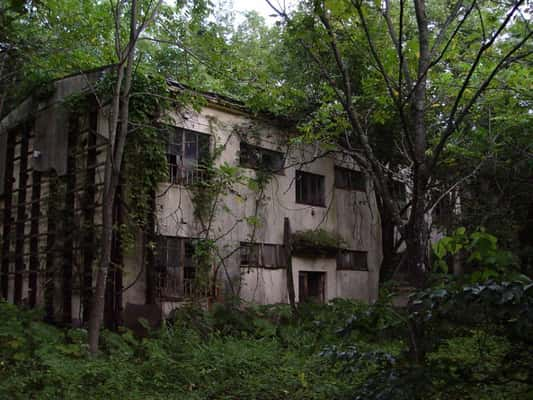 Um hotel abandonado é lentamente recuperado pela natureza. [Japão]