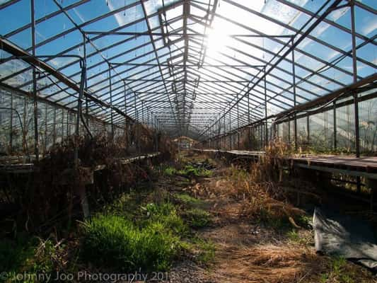 Estufa abandonada há mais de 10 anos. [Ohio]