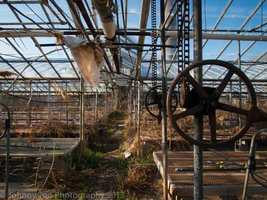 Estufa abandonada há mais de 10 anos. [Ohio]