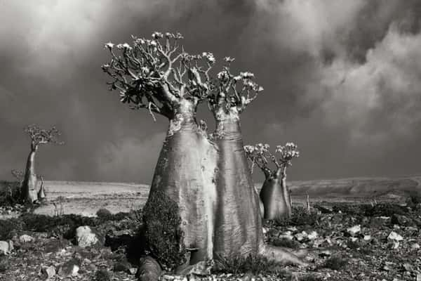 (Crédito: Beth Moon)