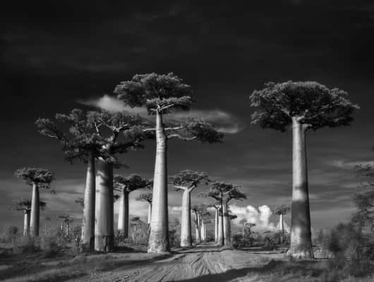 (Crédito: Beth Moon)