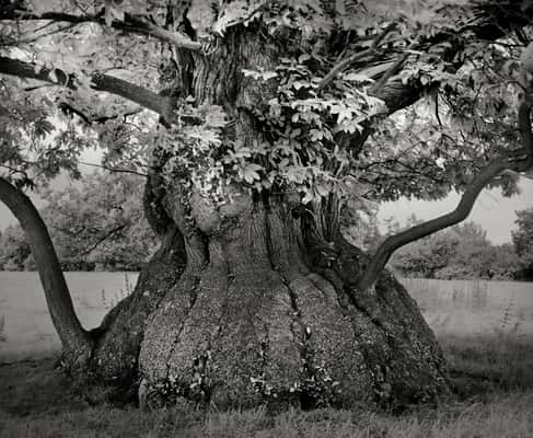 (Crédito: Beth Moon)