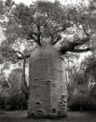 (Crédito: Beth Moon)