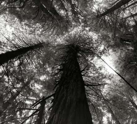 (Crédito: Beth Moon)