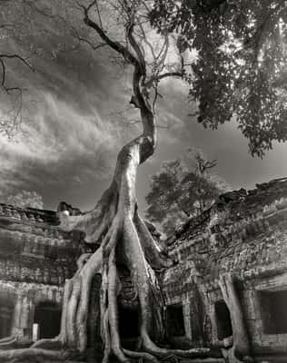 (Crédito: Beth Moon)