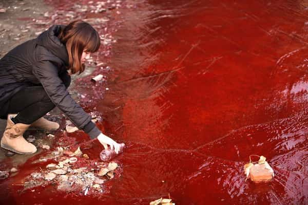 Rio poluído (Foto: Reuters)