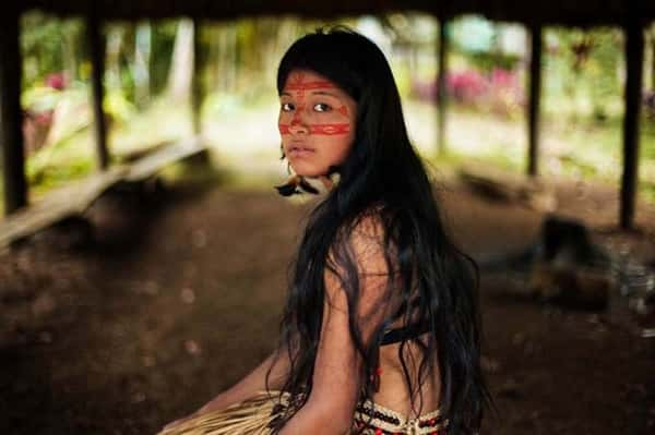 Floresta Amazônica, Brasil