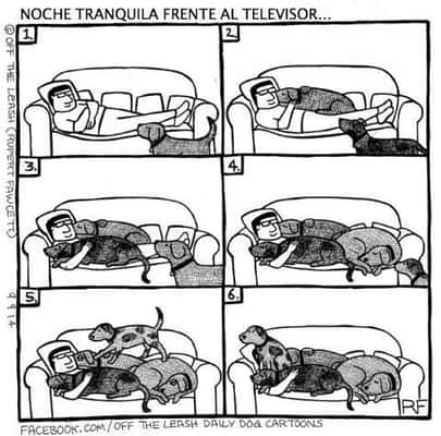 Noite tranquila, em frente ao televisor