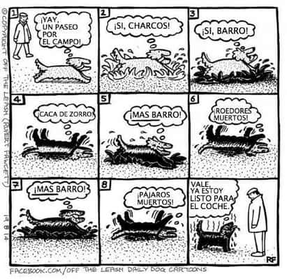 Oba! Um passeio pelo campo! Sim, poças! Sim, barro! Sim, cocô de raposa! Mais barro! Roedores mortos! Mais barro! Mais barro! Pássaros mortos! Ok, estou pronto pra andar de carro!