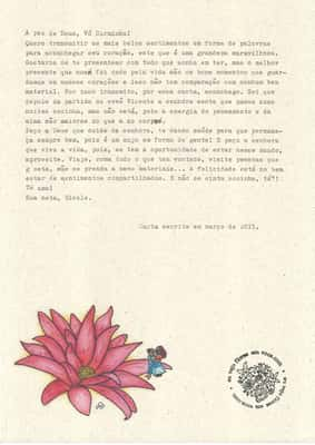 Projeto feminista promove troca de cartas entre as mulheres (Reprodução/Eu vejo flores em você)